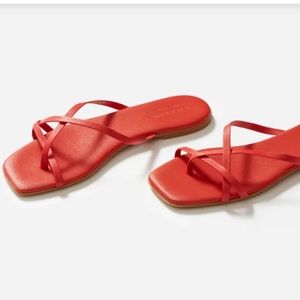 EVERLANE THE STRAPPY SANDAL RED CORAL SANDALS 40